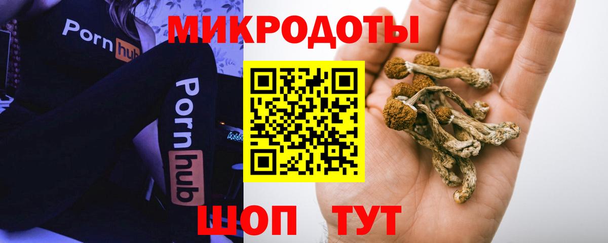 Галлюциногенные грибы Psilocybe Миллерово